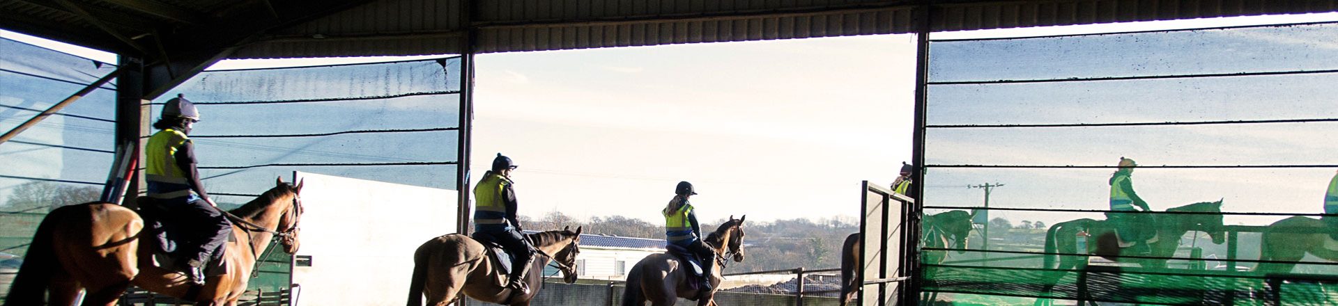 equestrian-buildings-banner